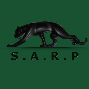 Service Agency Ronny Promm