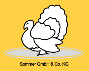 Sommer GmbH & Co. KG