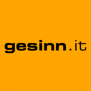 gesinn GmbH & Co. KG