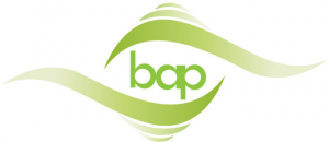 bap Bndnis Ambulante Psychiatrie