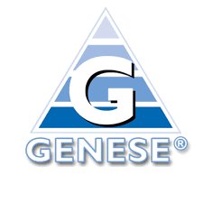 Alle Stellenangebote genese.de GmbH genese.de GmbH
