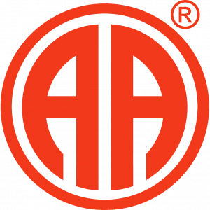 Abfluss-AS-Allianz Holding GmbH