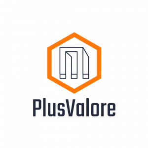 PlusValore