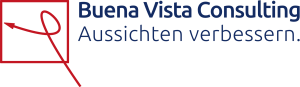 Buena Vista Consulting