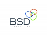 BSD Consulting